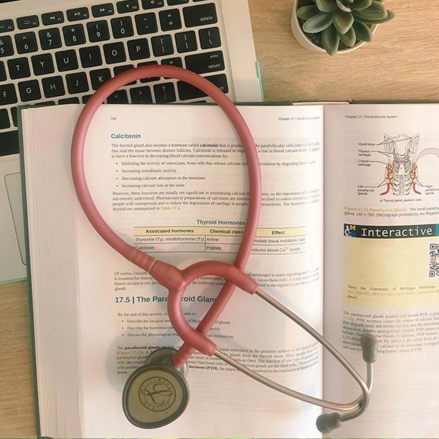 Littmann Lightweight II SE Nurses Stethoscope: Bubblegum Pink 2456 - OVER ENGRAVED - Image 3